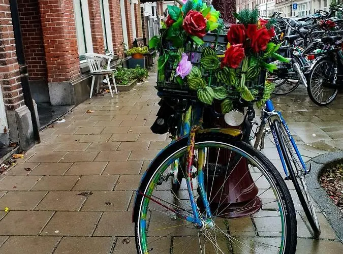 Bed & Breakfast Houseboat - With A View Amsterdam